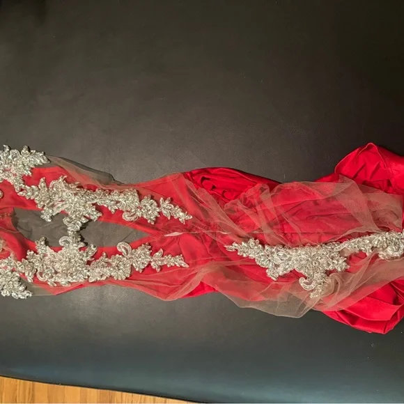 Red and Silver Sheer Dress - Picture 4 of 6